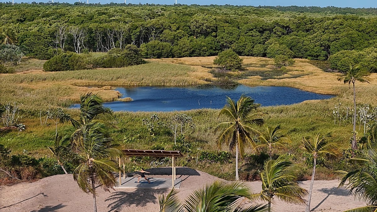 Lagoa cercada de vegetação nativa e coqueiros em Icaraí de Amontada