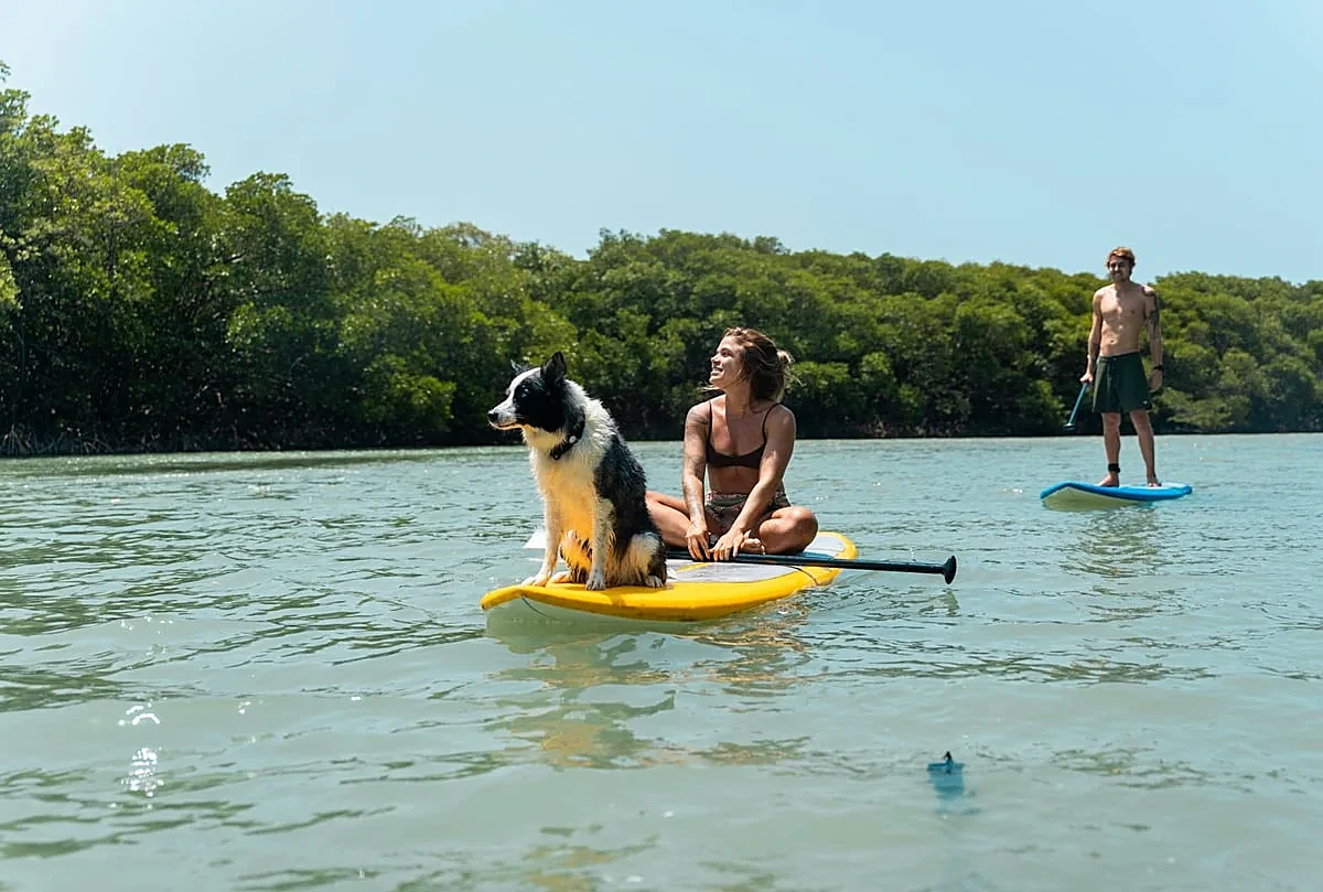 Amigos remando de stand-up paddle no rio, com um cachorro sobre a prancha